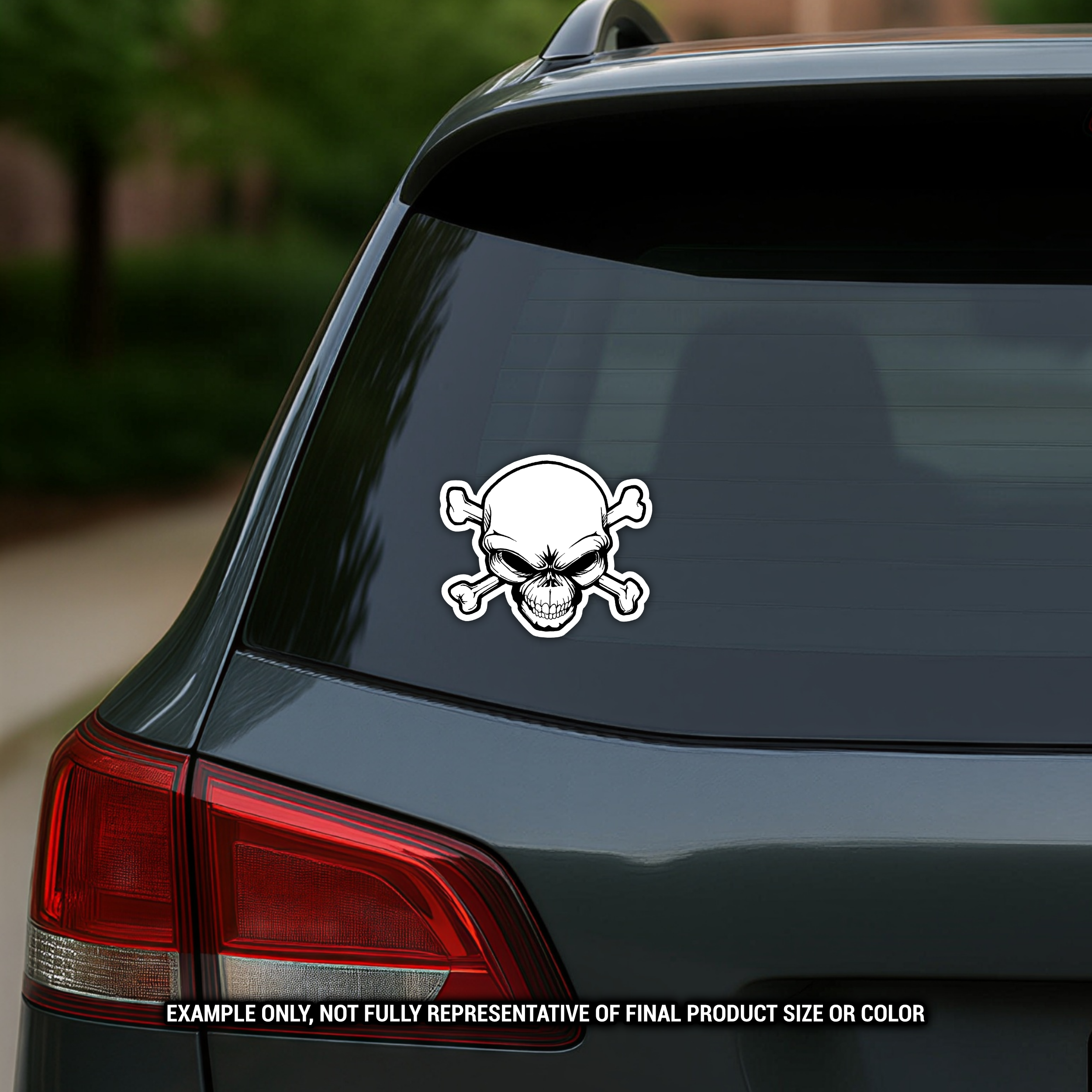 Skull & Crossbones - Vinyl Decal